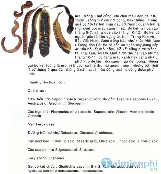 Từ điển thảo mộc dược học