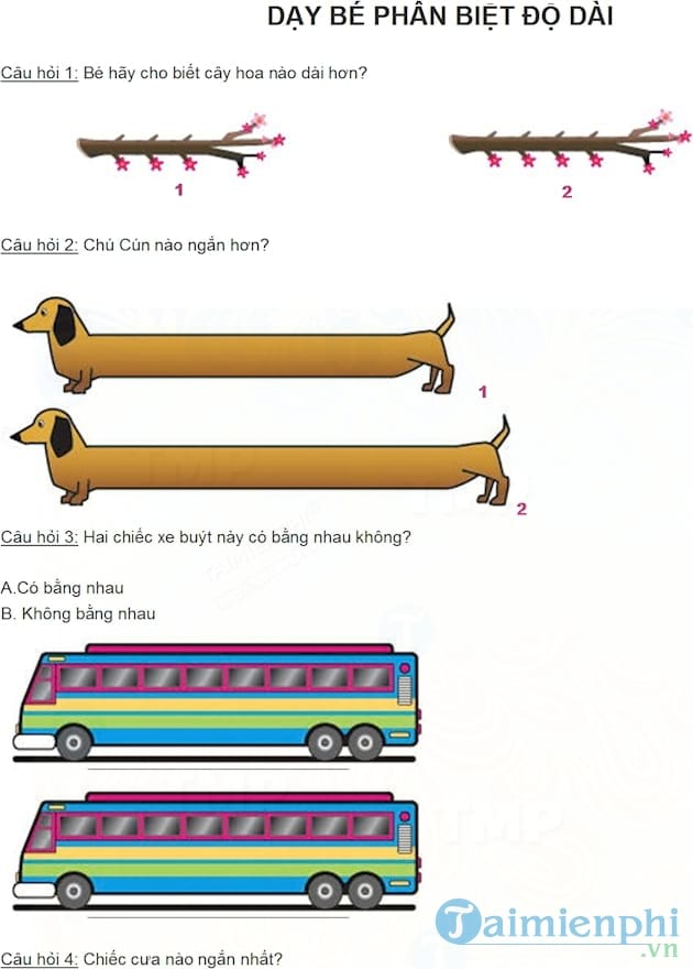 Dạy bé phân biệt độ dài