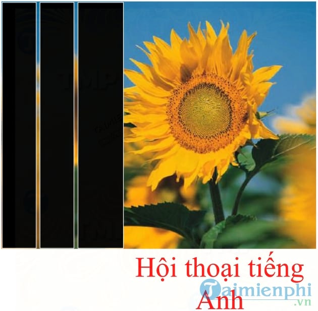 Đàm thoại Tiếng Anh toàn tập