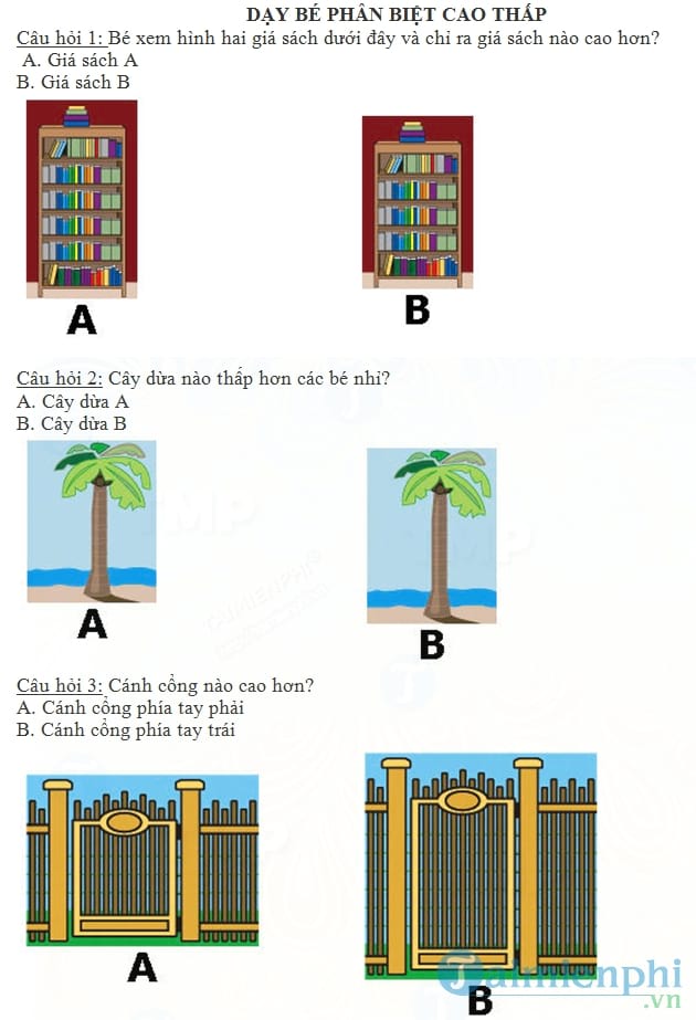 Dạy bé phân biệt cao thấp