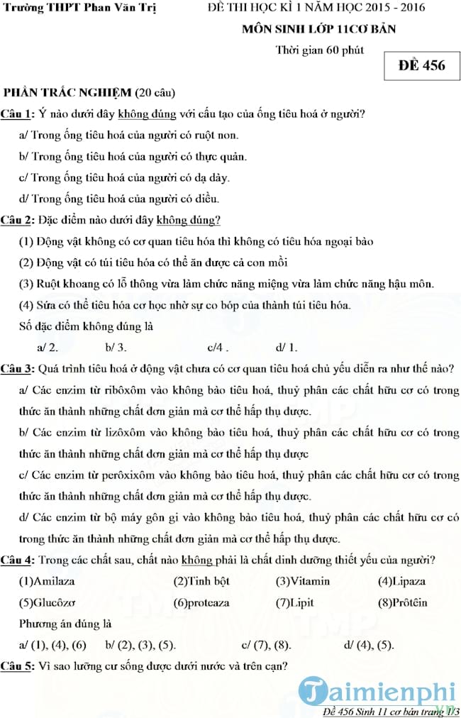 Đề thi học kì 1 môn Sinh học lớp 11 trường THPT Phan Văn Trị