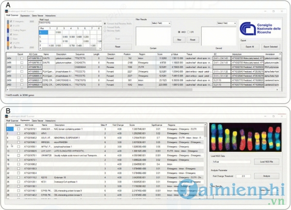 Arabidopsis Motif Scanner