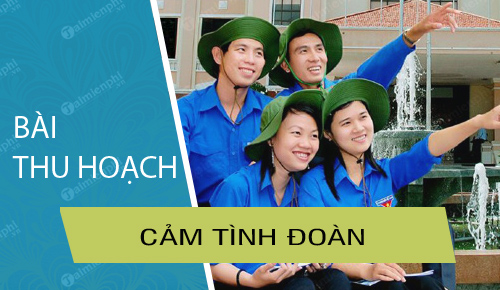 bai thu hoach cam tinh doan