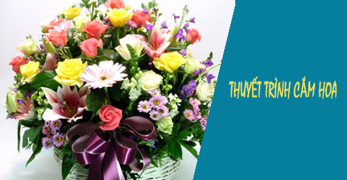 bai thuyet trinh cam hoa 8 thang 3