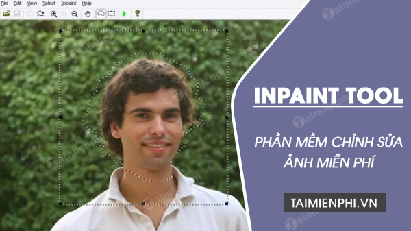tai inpain tool