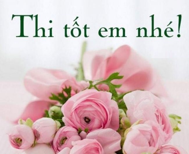 anh chuc thi tot hai huoc