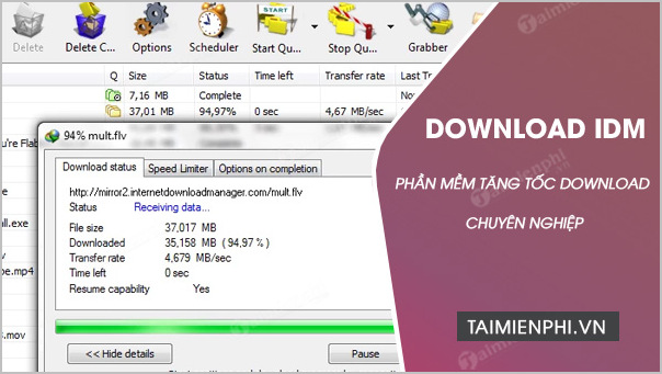 tai internet download manager idm