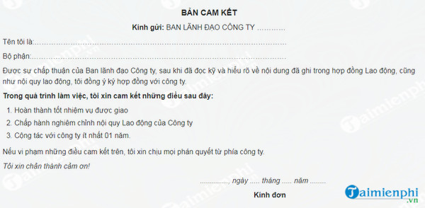 mau giay cam ket khong tai pham