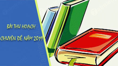 bai thu hoach chuyen de nam 2019